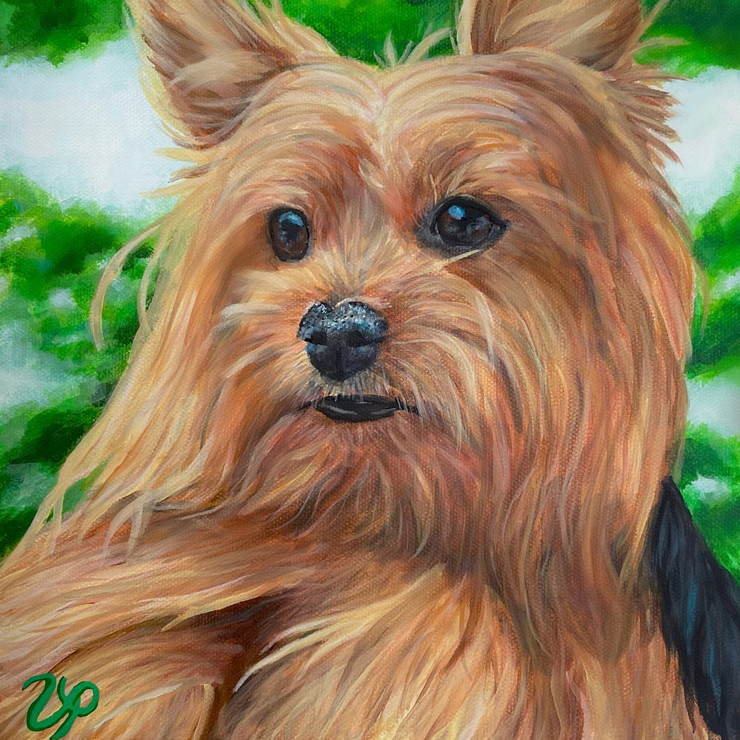 Bear the Yorkie Print