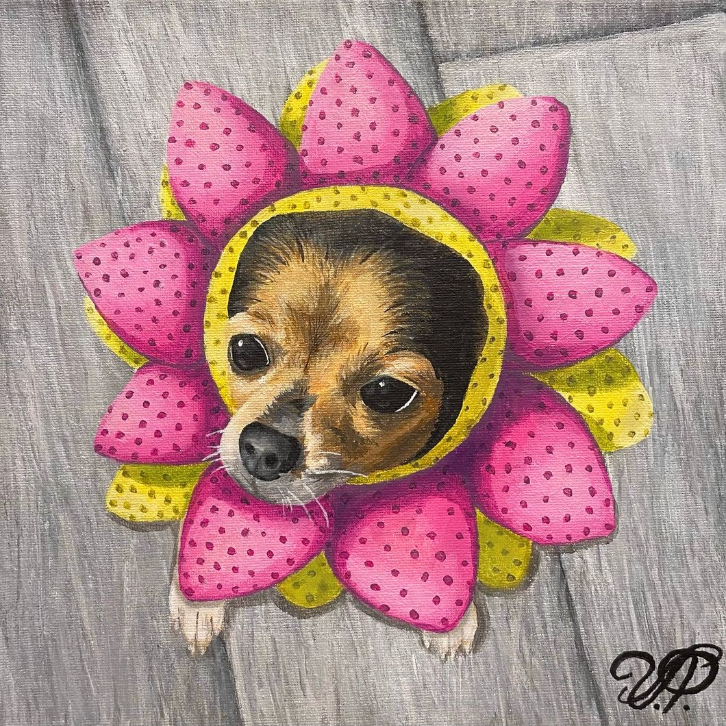 Flower Chihuahua Print