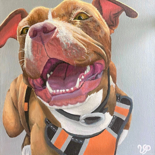 Happy Pitbull Print